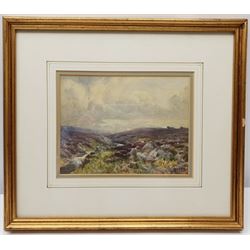 Albert George Stevens (Staithes Group 1863-1925): Sheep on a Heather Moorland, watercolour signed 17cm x 22cm