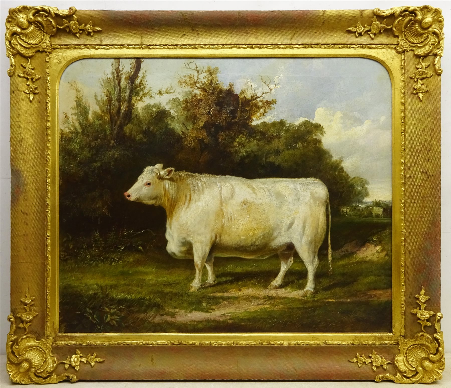 English School (19th century): Portrait of a Whitebred Shorthorn Heifer in Landscape setting, oil on canvas indistinctly signed, 61cm x 75cm
Notes:  the stretcher is inscribed 'J Thomas Ford Esq., Burton Pidsea' (East Yorkshire), there is a listing in Burton Pidsea's history '.....one of the larger houses certainly built on a new site was Bramhill House. Thomas Ford, farmer, mortgaged its site, Bramer Hill close, and other lands in 1844 for £3,000, and the house was evidently built soon afterwards