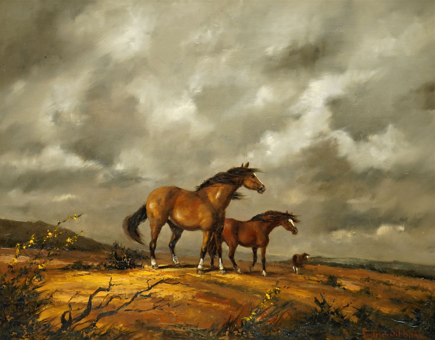 Barbara Gudrun Sibbons (German 1925-): Horses on a Windswept Moor, oil on board signed 39cm x 49cm