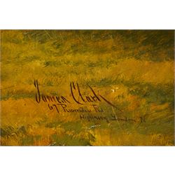 Albert James Clark (British 1858-1943): Portrait of a Black Horse with Docked Tail, oil on canvas signed and inscribed '67 Riversdale Rd - Highbury London N' 50cm x 60cm