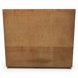 Rustic pine cupboard fitted with wire panelled doors, enclosing staggered adjustable shelving