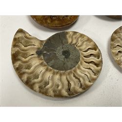 Two pairs of sliced Ammonite Fossils with polished finish, D4cm