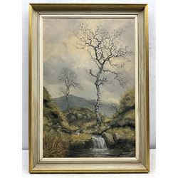 Rex N Preston (British 1948-): Upland Waterfall, oil on board signed and dated '70, 60cm x 39cm