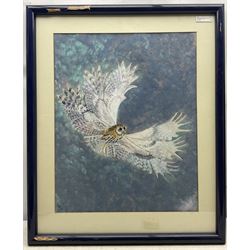 Susan Cameron (British Contemporary): Owl in Flight, gouache signed ‘82, 59cm x 47cm 