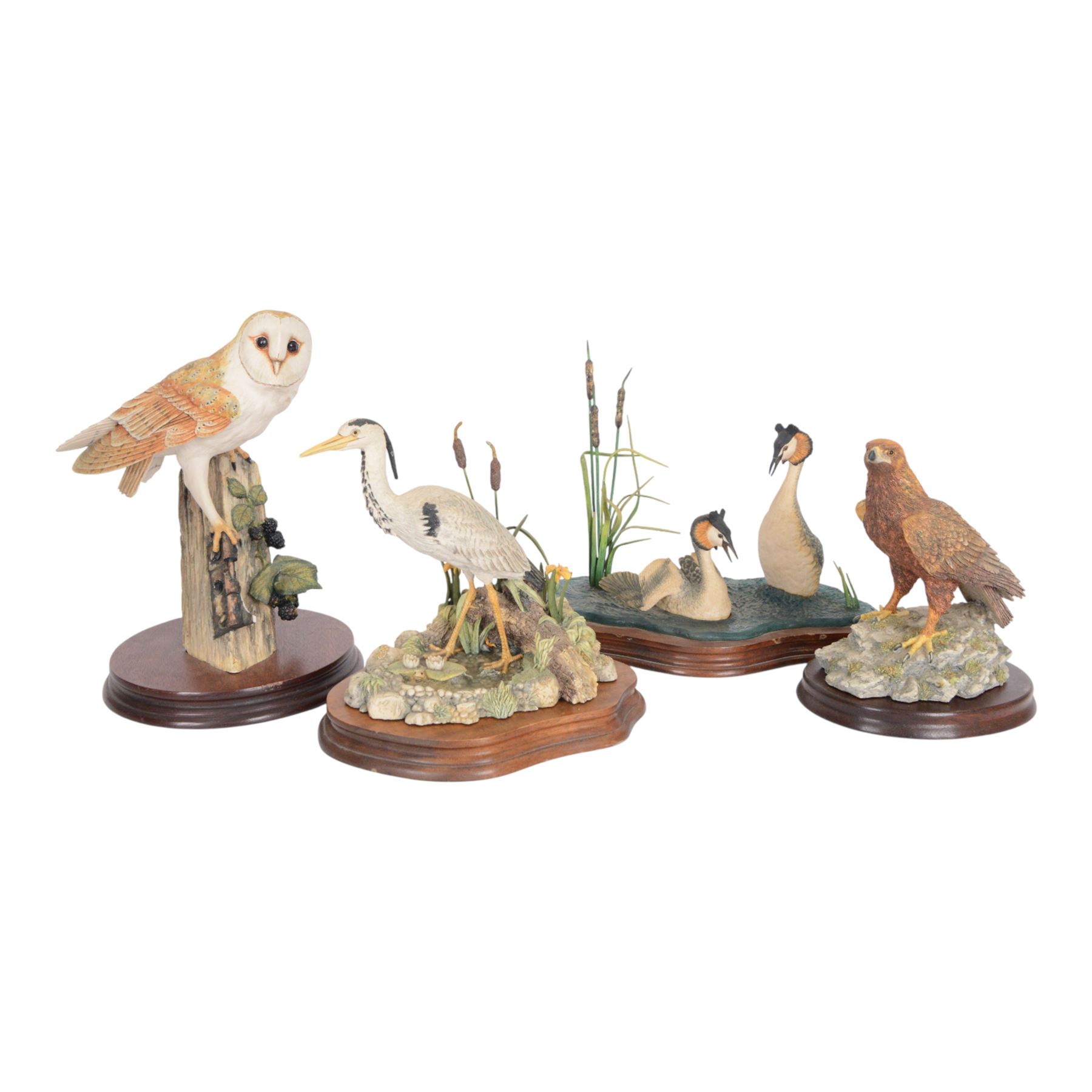 Four Border Fine Arts bird figures, comprising Patience, Courting Grebes, Barn Owl RB15and Golden Eagle RB40, all on wooden plinths, tallest H24cm
