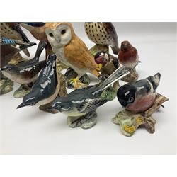 Collection twenty one of Beswick bird figures, to include Lapwing no 2416, Kingfisher no 2671, Red Pigeon 1383, Cuckoo no 2315, Nuthatch no 2418 etc