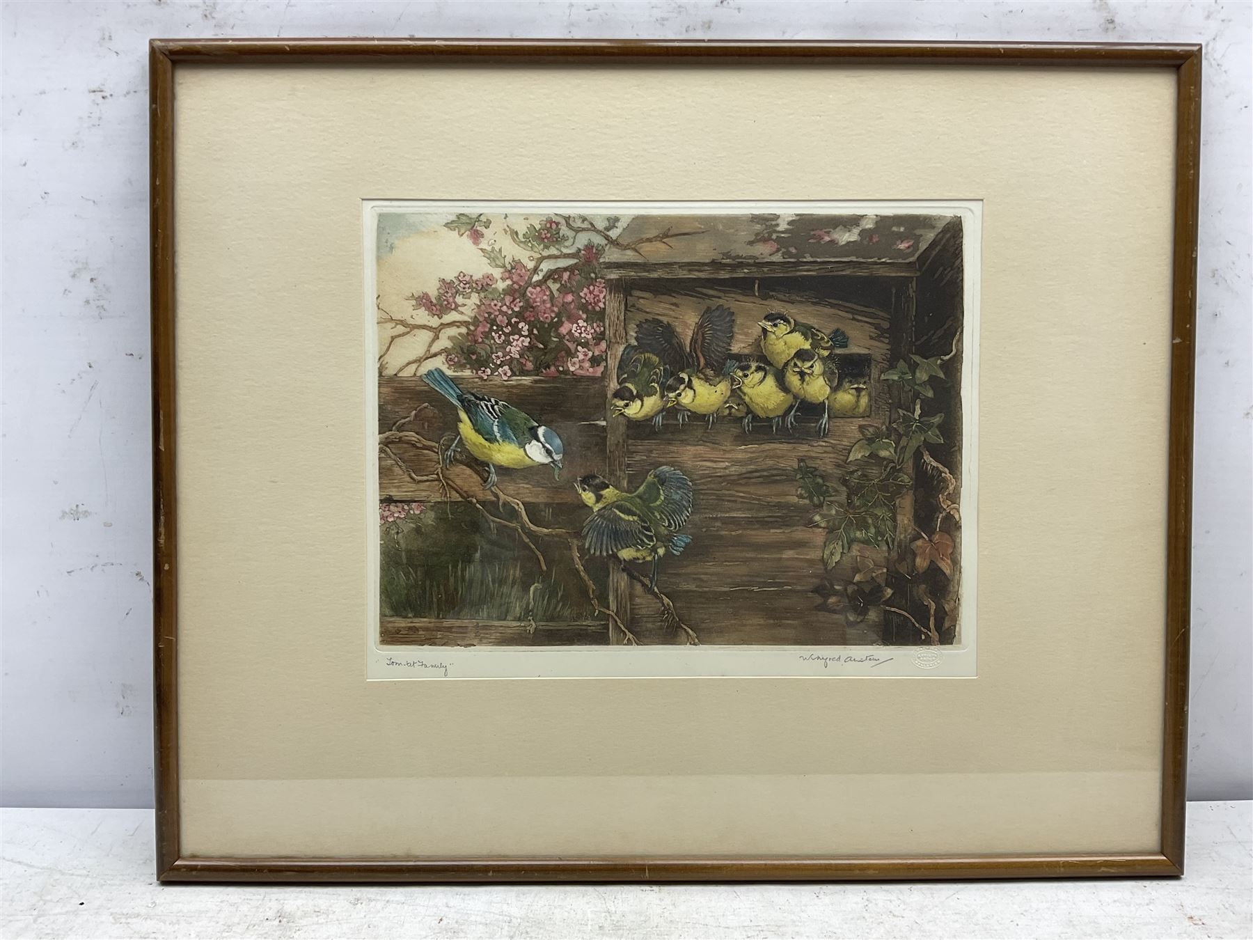 Winifred Maria Louise Austen (British 1876-1964): 'Tom Tit Family', artist's proof coloured etching signed and titled in pencil, with Warwick Galleries blindstamp 22cm x 30cm