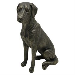 Bronze finish seated Labrador figure