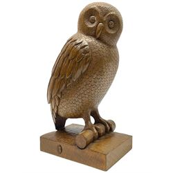 Acornman - carved oak owl perched on branch, on tooled block plinth carved with acorn sign...