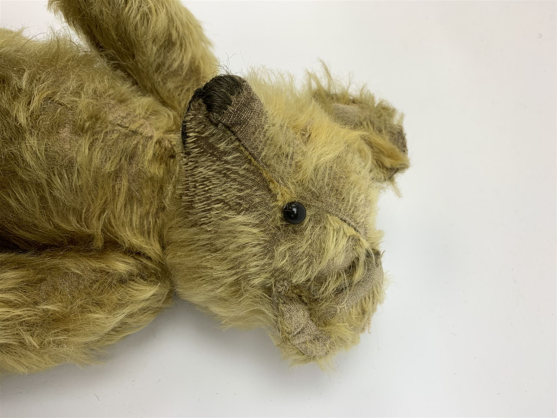 Early 20th century English teddy bear, WW1 period, with wood wool filled mohair body, fixed head with one boot button eye and vertically stitched nose and mouth and jointed limbs with cloth paw pads H16
