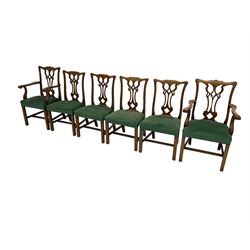 Set six (4+2) Chippendale design dining chairs, pierced and shaped splat back over green upholstered seat