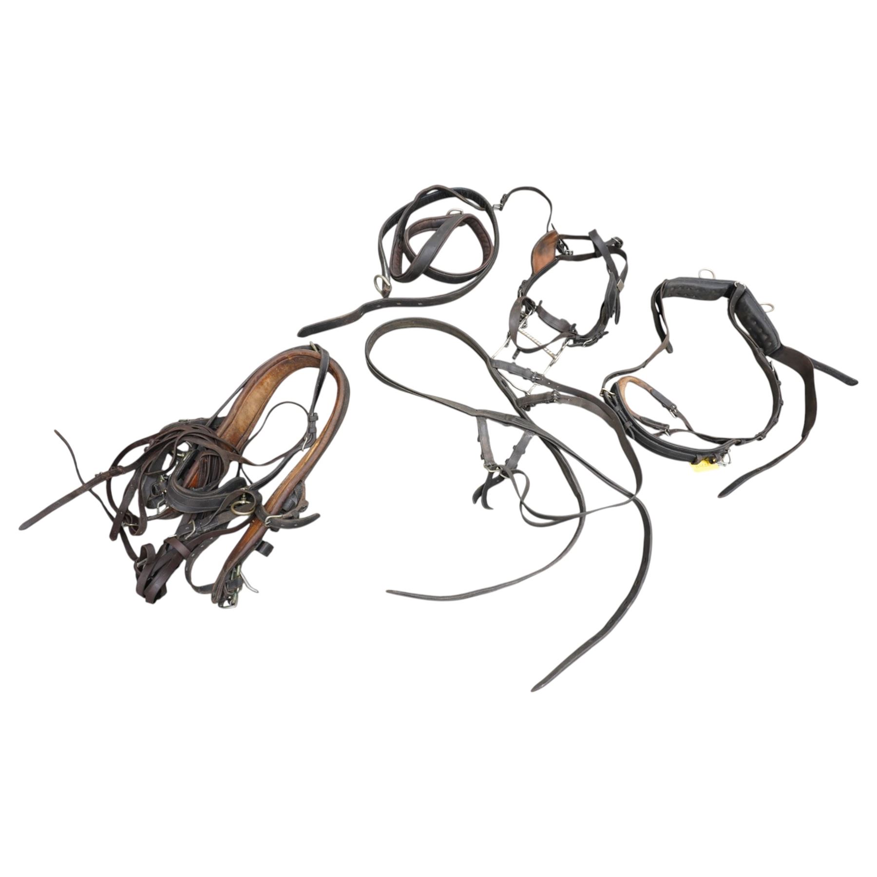 Team four in hand set of brown leather in hand exercise harness, including four collars, pads and bridles with leather blinkers and bits