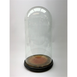 A Vintage clear glass dome, upon an ebonised wooden base with three bun feet, base of dome W24cm.   