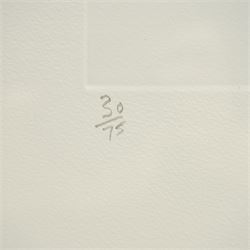 Sandra Blow (British 1925-2006): 'Revolve', etching and aquatint in colours signed titled numbered 30/75 and dated '03 in pencil 75cm x 72cm
Provenance: The Stour Gallery, Eastway, London 