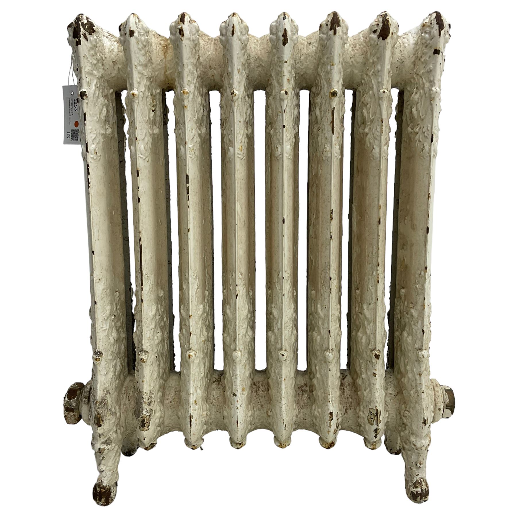 Victorian white painted cast iron radiator, decorated with trailing leafy branches and flowerheads