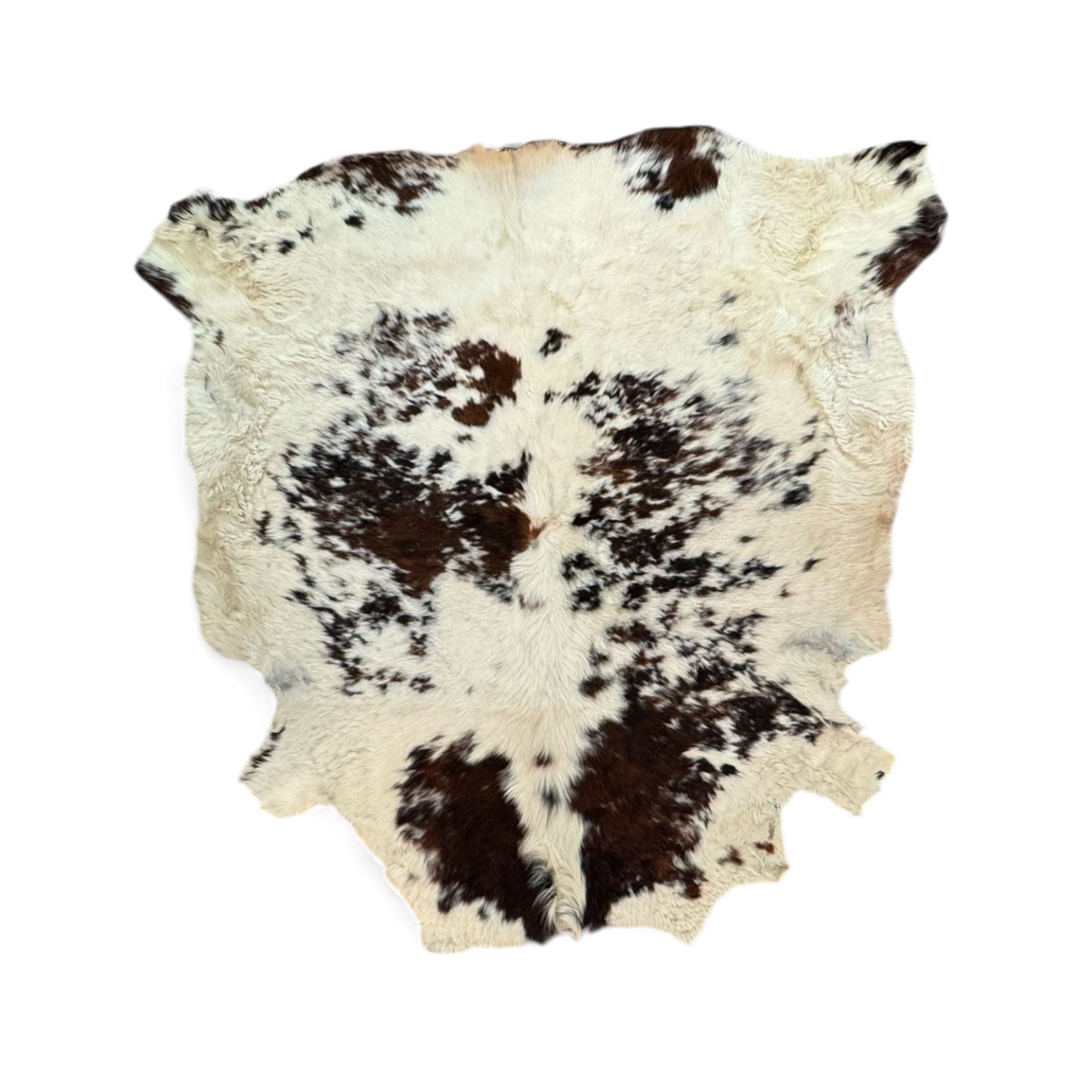Skins/Hides: Large cow hide rug (Bos taurus), with dark brown and white dapple pattern, W78cm