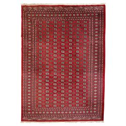 Large crimson ground Afghan Bokhara carpet, the field decorated with repeating Gul and geo...