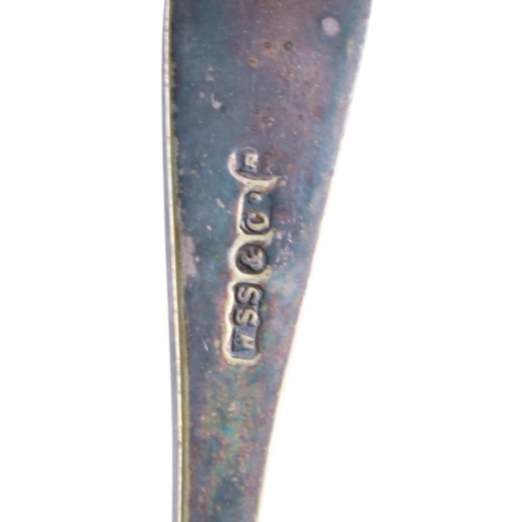 Silver dessert spoon, silver souvenir spoon, silver handled fish knife and two silver napkin rings, together with a collection of silver plated cutlery