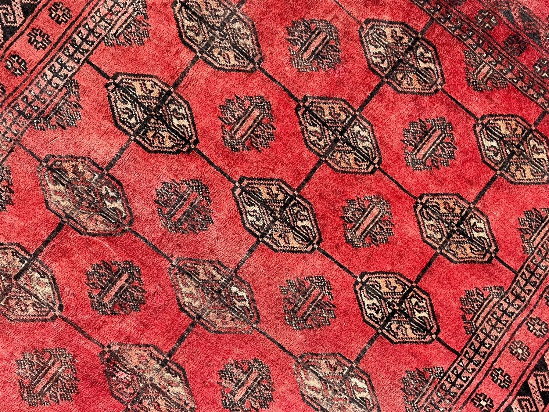 Afghan Bokhara red ground rug, the field decorated with three rows of Gul motifs, within multiple band borders decorated with trailing hook and geometric motifs 