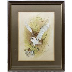 Attrib. Brian Needham (British ?-2004): Barn Owl and Harvest Mouse, watercolour and gouache unsigned 46cm x 33cm 