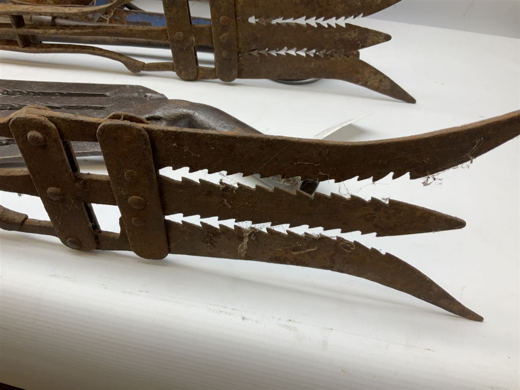 Blue and red painted gas powered bird / pest scarer, bearing label 'Exid bird & pest scarer, imported by C.R.E.A.C.O Hadleigh, Essex', , copper and brass Cymag gas hand pump, three eel spears and a set of badger tongs. Auctioneer's Note: These traps are sold as artefacts for ornamental purposes only as the use of some of them is illegal.