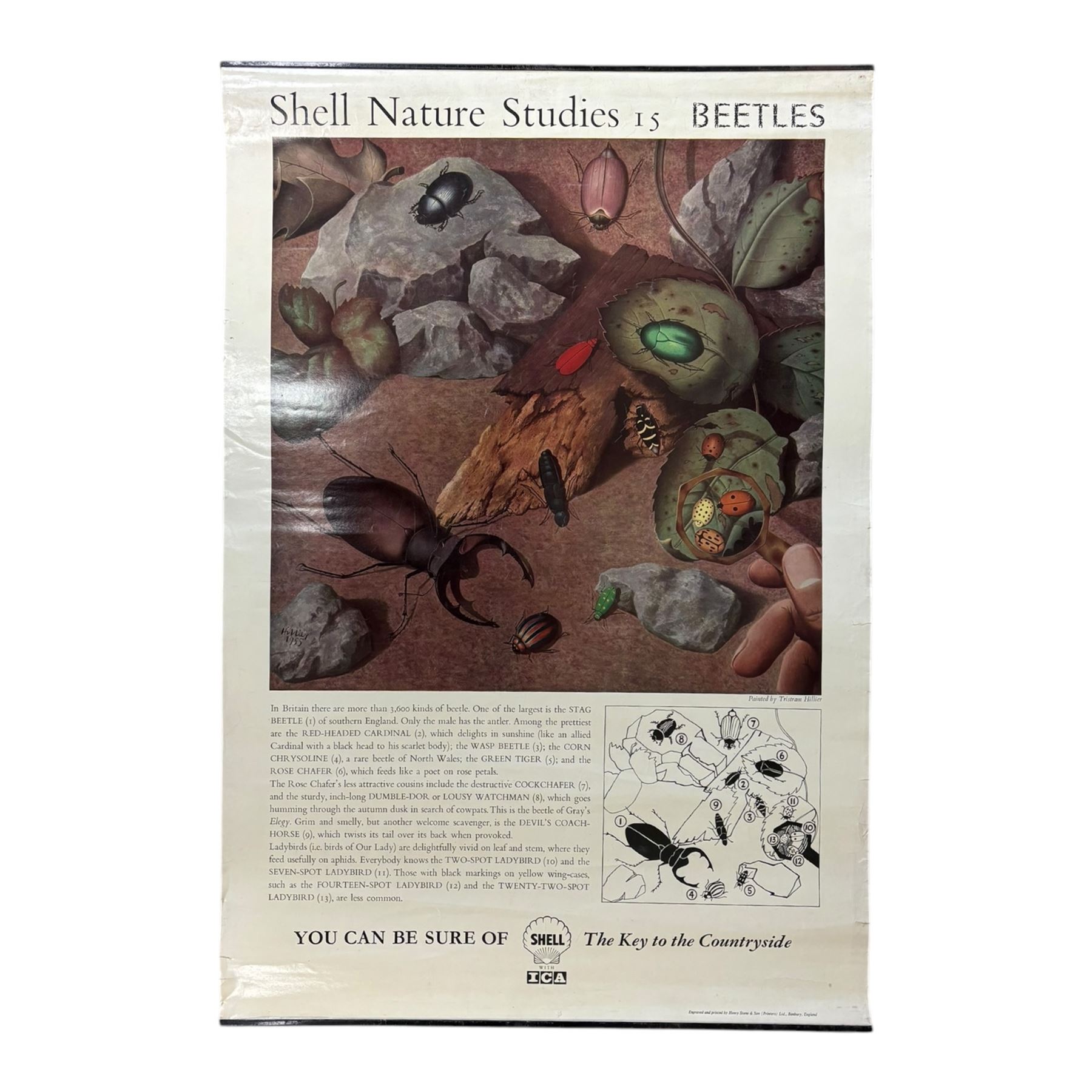 Collection thirty seven vintage county guide posters produced by Shell, H76cm, W51cm