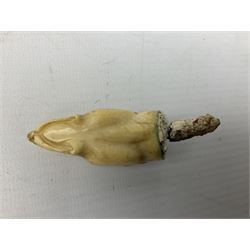 19th century carved ivory walking cane handle, modelled as the head of a greyhound with inset glass eyes, together with a further 19th century ivory example, modelled as a caricature of a gentleman's head, (2)