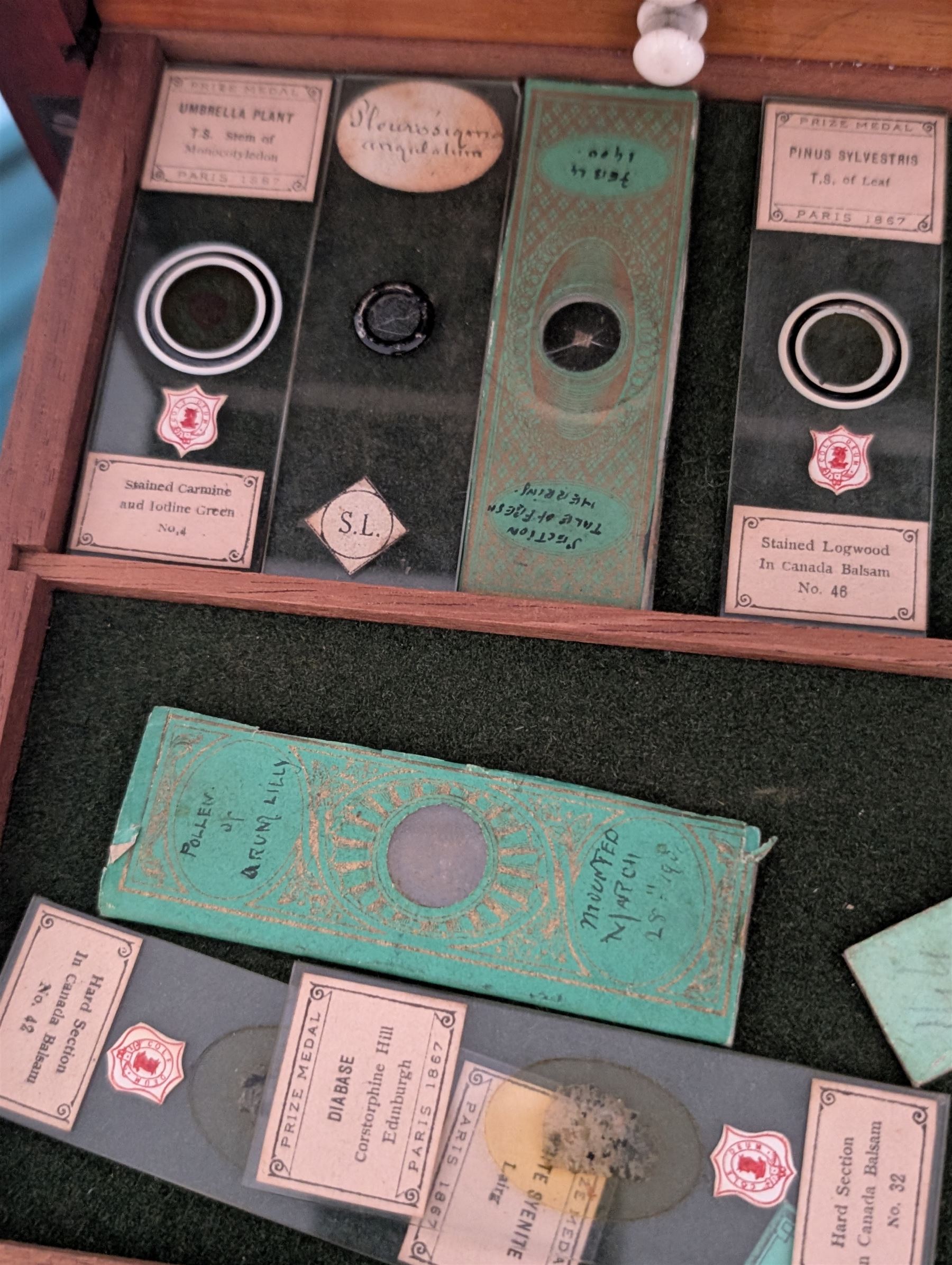 Victorian collector's specimen cabinet, containing a number of prepared microscope slides including miniature photographs, animal and human pathological, physiological and histological specimens and botanical specimens, mostly annotated in ink, the cabinet with glazed door, the drawers with bone handles and lined with green felt, owned by Dr Arthur Bristow, together with a picture of the doctor, cabinet H43cm