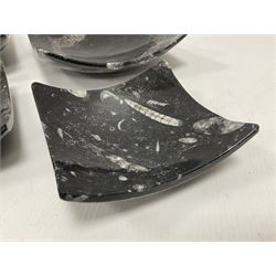 Set of four square dishes in two sizes, each with orthoceras and goniatite inclusions, age: Devonian period, location: Morocco, large dish D16cm