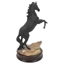 Beswick Cancara The Black Horse, designed by J. G. Tongue, modelled rearing horse on a naturalistic stony ground, upon a circular plinth with engraved title plaque, with certificate and in original box, H46cm 