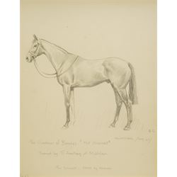 Joseph Appleyard (Yorkshire 1908-1960): Horses 'Midas' 'The Yuvaraj' and 'Senor Brume', set of three preliminary pencil sketches unsigned, variously inscribed 22cm x 17cm (3)