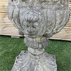 Pair of ornate Victorian style urns on plinth base, D40, H105 - THIS LOT IS TO BE COLLECTED BY APPOINTMENT FROM DUGGLEBY STORAGE, GREAT HILL, EASTFIELD, SCARBOROUGH, YO11 3TX