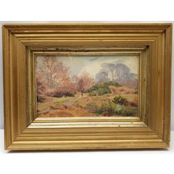 J Baxter (British early 20th century): Moorland Path, oil on panel signed 16cm x 28cm