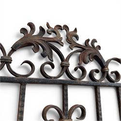Victorian wrought iron vineyard gate, with ornate scrollwork and foliate acanthus leaf decoration, shaped cresting and central decorative panel, finished in rustic black painted finish