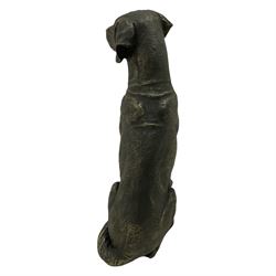 Bronze finish seated Labrador figure