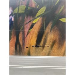 Jeremy Taylor (British 1957-): Floral Still Life, oil on board signed 47cm x 37cm 