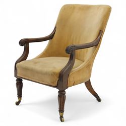 William IV mahogany library armchair, beige velvet upholstered back and padded seat with piping and scroll carved arms, reeded uprights, raised on tapered reeded front legs and out-swept back legs with brass castors 