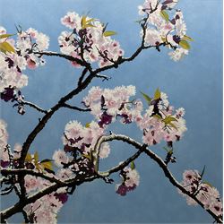Dag Hagenaes Kjelldahl (Norwegian/Whitby Contemporary): Cherry Blossom, oil on canvas signed 100cm x 100cm