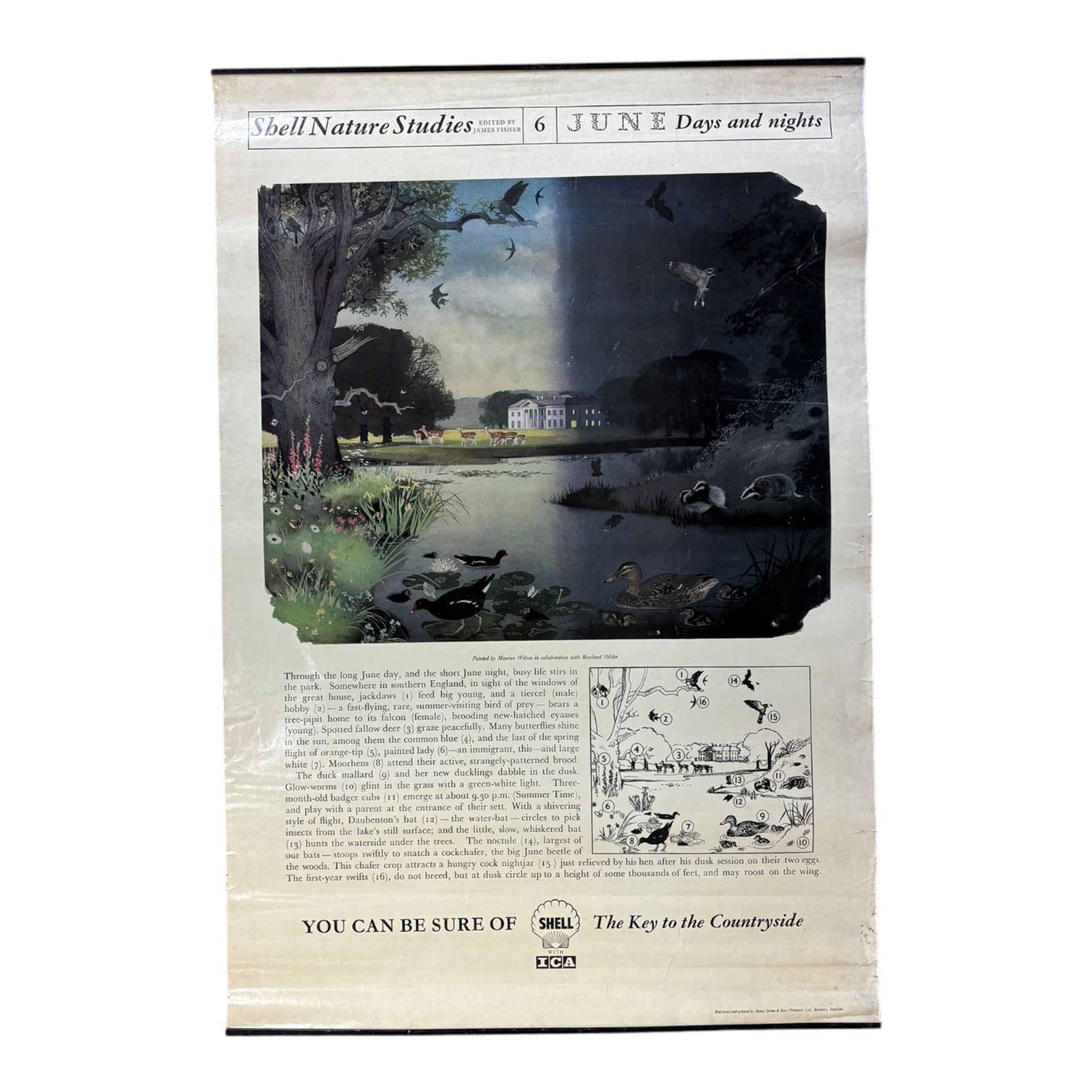 Collection thirty seven vintage county guide posters produced by Shell, H76cm, W51cm