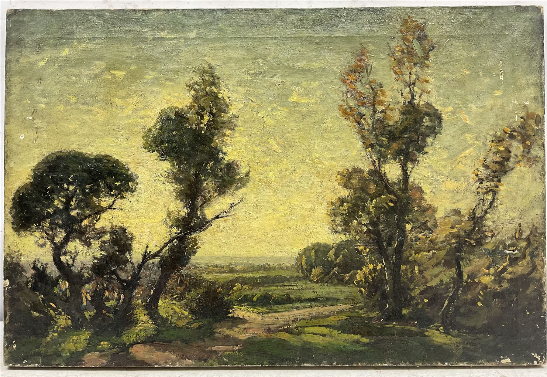 Paul Paul (Staithes Group 1865-1937): Trees at Sundown, oil on canvas unsigned 24cm x 41cm (unframed) 
Provenance: from the collection of the artist's great granddaughter