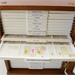 Large collection of prepared microscope slides, including animal and human pathological, physiological and histological specimens and botanical specimens, mostly annotated in ink, with examples including earthworm ovary, pneumonia lung, tip of a human tongue and rabbit cerebellum, contained within two mid 20th century wooden specimen cabinets with glazed doors, each containing twenty-eight plastic slide trays, cabinet H46cm