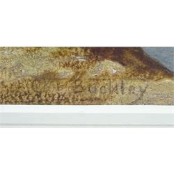 Charles Frederick Buckley (British 1812-1869): Cattle Watering on the Riverside, watercolour signed 62cm x 80cm