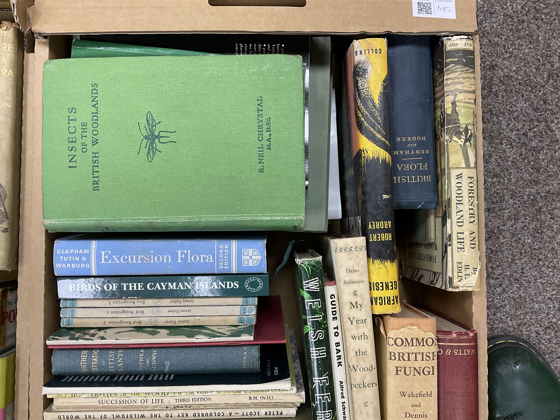 Collection of natural history books, including Lloyd's natural history books, four volumes, Insects of the British woodlands, Flowers of the field Johns & Elliott, Textbook of Theoretical Botany three volumes etc, seven boxes 
