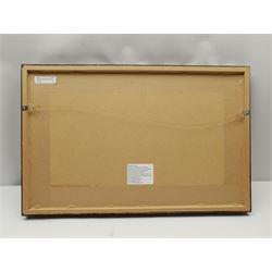 David James Carr (Northern British 1944-2009): Whitby East Cliff, oil on board signed 20cm x 40cm