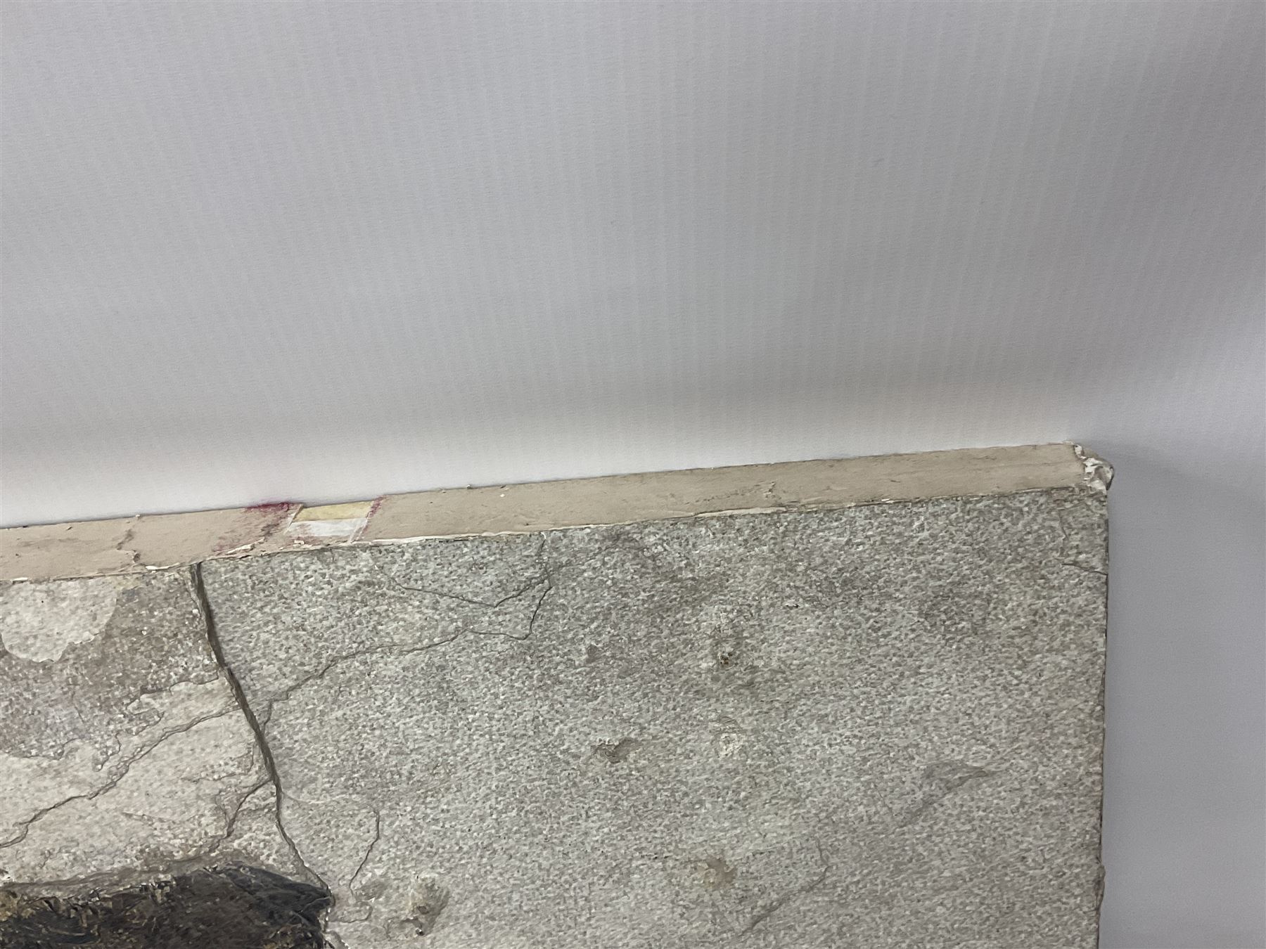 Fossilised fish group in a single matrix; freshwater fish presentation from the prehistoric system of three lakes known as the Green River Formation, featuring Priscacara, Phareodus testis, Diplomystus dentatus
 H59cm, L97cm