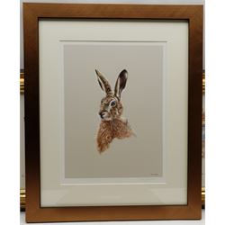 Mary Farnell (British 1926-2014): 'Elephant Hawk Moth', engraving with watercolour signed titled and numbered 7/30 in pencil; limited edition Minter-Kemp print; print of a hare after John Clarke, and Barbar print, max 27cm x 80cm (4)