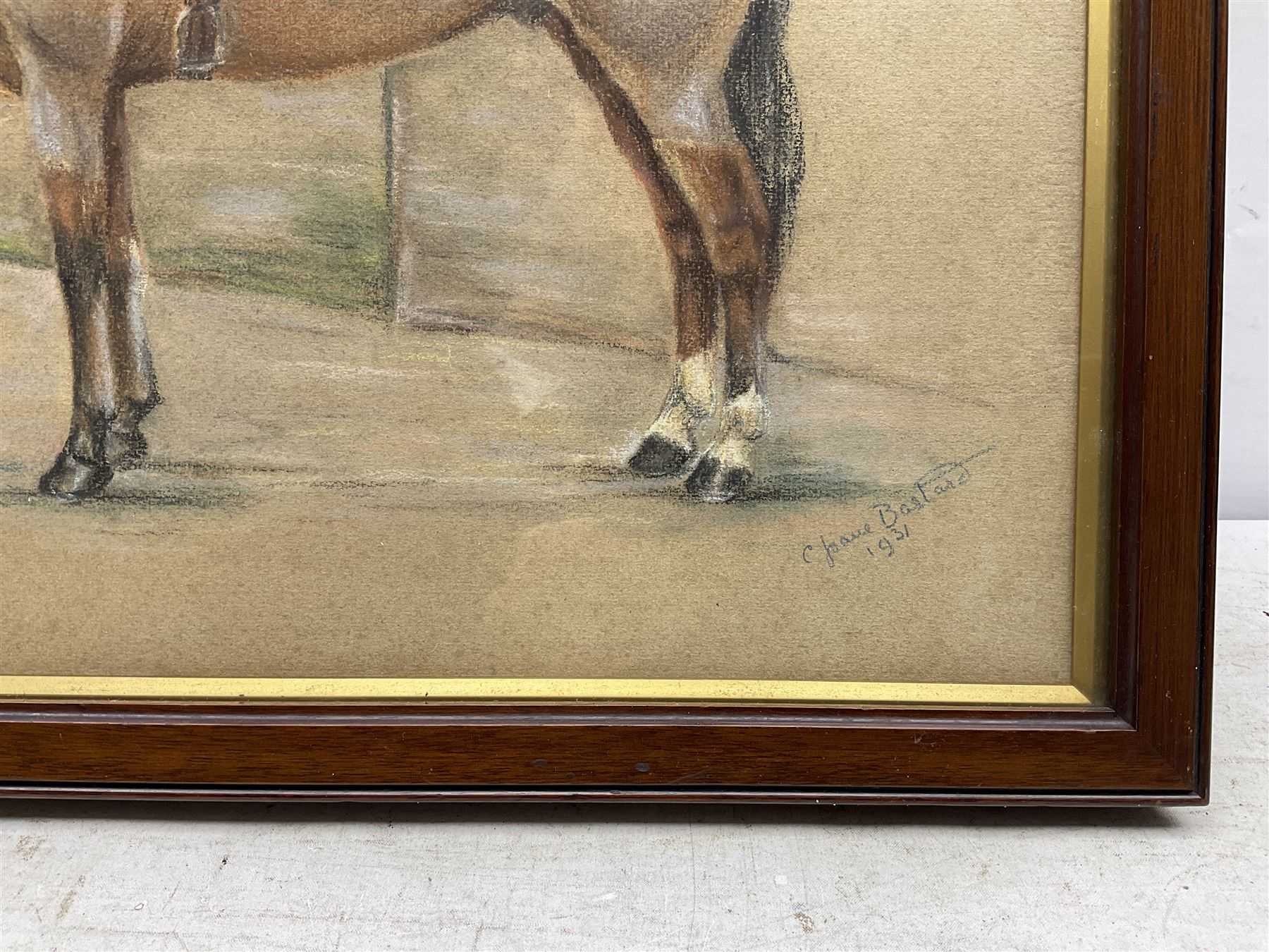 C Joane Bastard (20th century): Horse Portrait, pastel signed and dated 1931, 30cm x 42cm