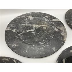 Five large circular plates, each with Orthoceras and Goniatite inclusions, age: Devonian period, location: Morocco, D29cm