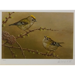 'Goldcrest on Larch', Barn Owls and Duck and Chicks, three limited editiion colour prints signed and number in pencil by Robert E Fuller (British 1972-) and four animal prints after the same hand max 17.5cm x 32.5cm (7)  