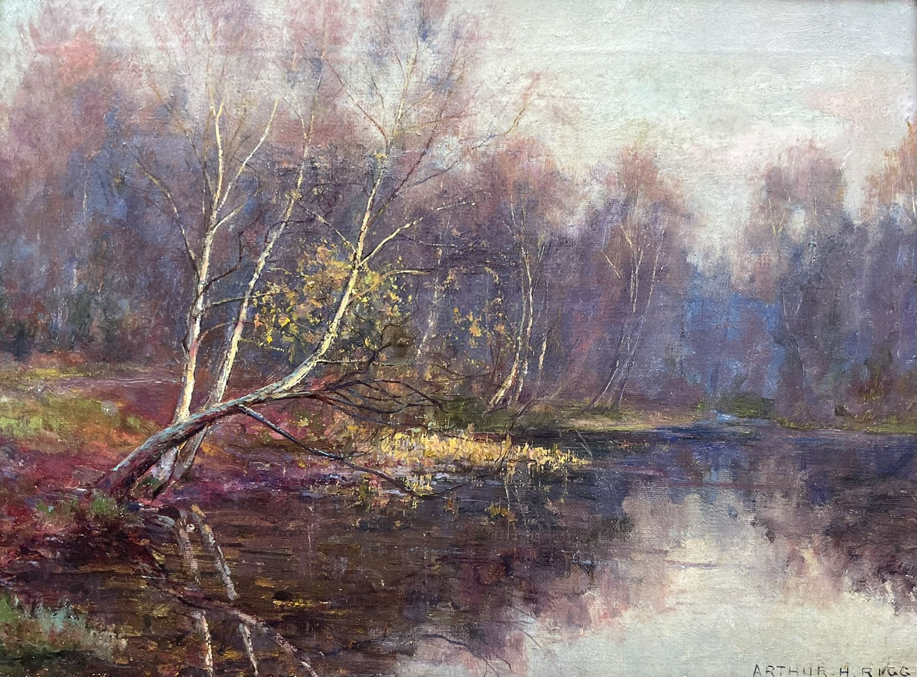 Arthur Herbert Rigg (British c.1859-1915): Autumn River Landscape, oil on canvas signed 29cm x 39cm 
Notes: Arthur was the eldest brother of Staithes Group member Ernest Higgins Rigg (1868-1947). The pair were two of six children of Mary Ann Higgins (1834-1910) and Matthew Christian Rigg (1831-1896), alongside Edith (1861-1900), John Albert (1864-1912), William Darnley (1866-1953), and Alfred Edward (1870-1919).